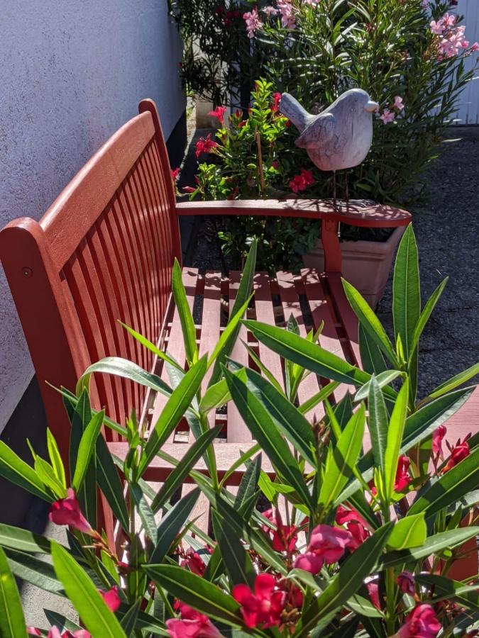 Hortensie Speyer Luaran gambar
